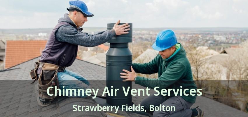 Chimney Air Vent Services Strawberry Fields, Bolton - ON