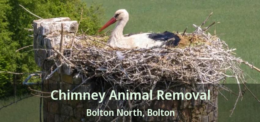 Chimney Animal Removal Bolton North, Bolton - ON