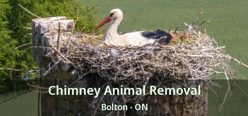 Chimney Animal Removal Bolton - ON