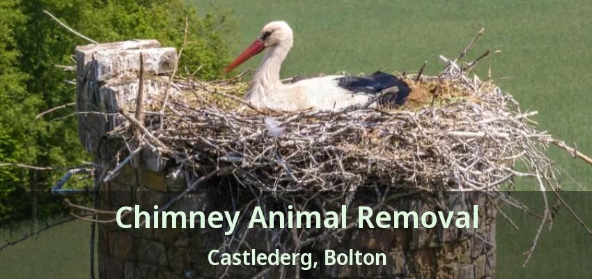 Chimney Animal Removal Castlederg, Bolton - ON