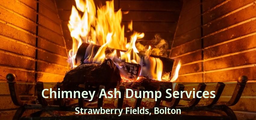 Chimney Ash Dump Services Strawberry Fields, Bolton - ON