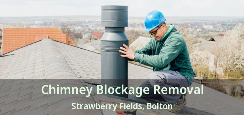 Chimney Blockage Removal Strawberry Fields, Bolton - ON
