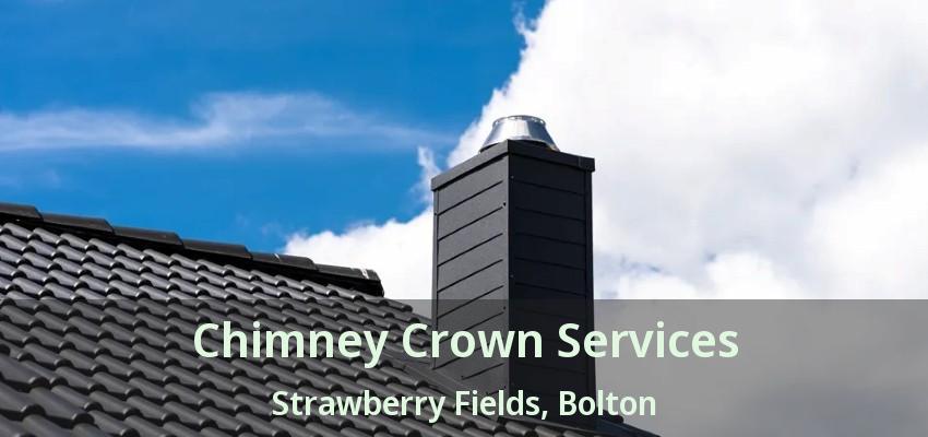 Chimney Crown Services Strawberry Fields, Bolton - ON