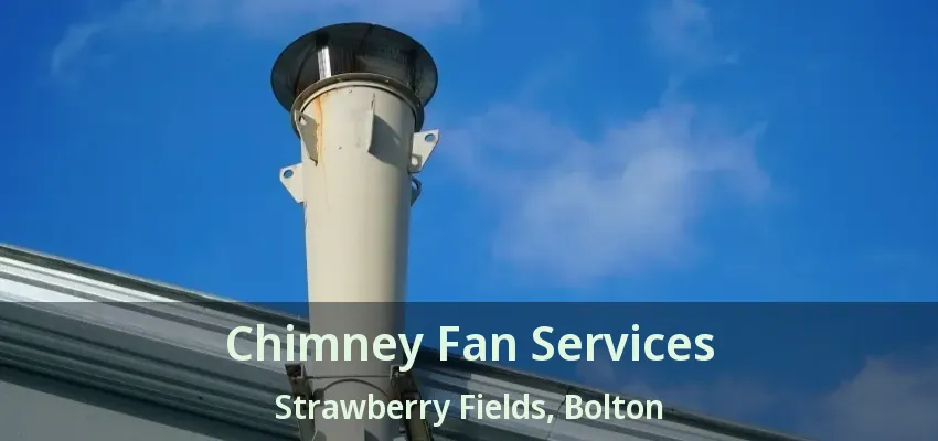 Chimney Fan Services Strawberry Fields, Bolton - ON