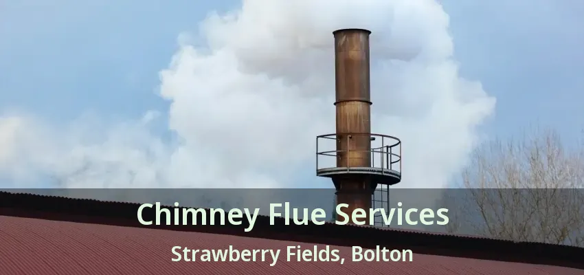 Chimney Flue Services Strawberry Fields, Bolton - ON