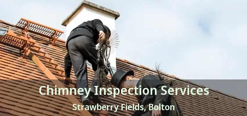 Chimney Inspection Services Strawberry Fields, Bolton - ON
