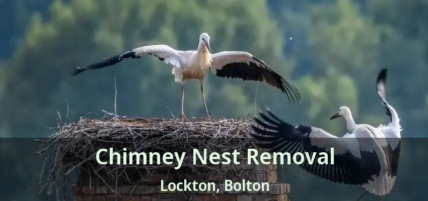 Chimney Nest Removal Lockton, Bolton - ON