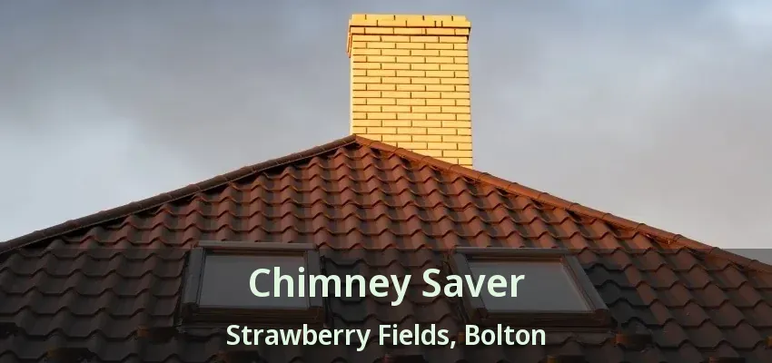 Chimney Saver Strawberry Fields, Bolton - ON