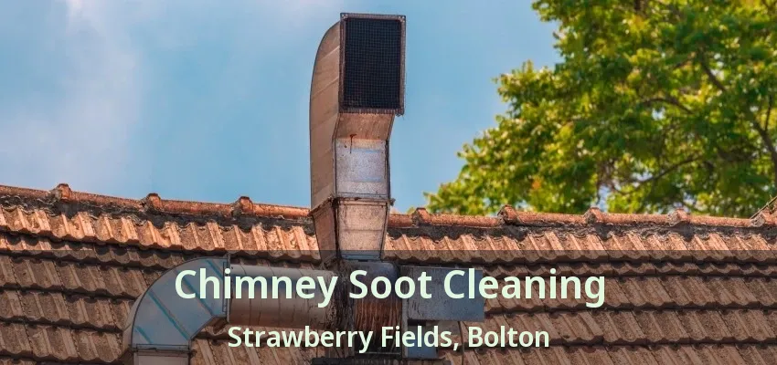 Chimney Soot Cleaning Strawberry Fields, Bolton - ON