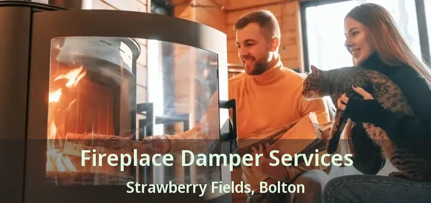 Fireplace Damper Services Strawberry Fields, Bolton - ON