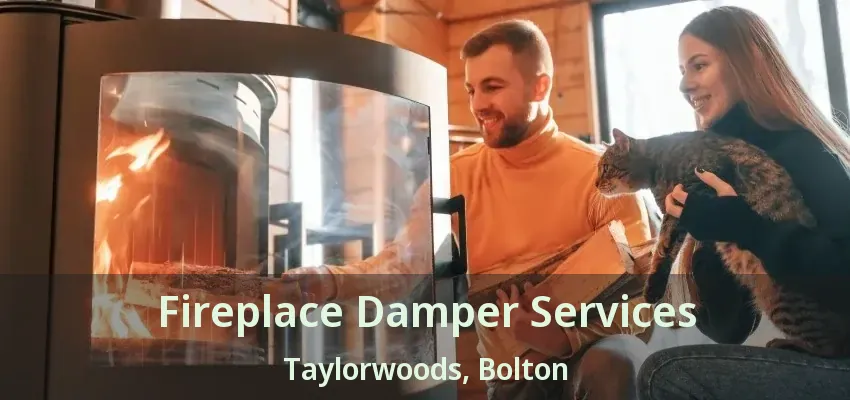 Fireplace Damper Services Taylorwoods, Bolton - ON