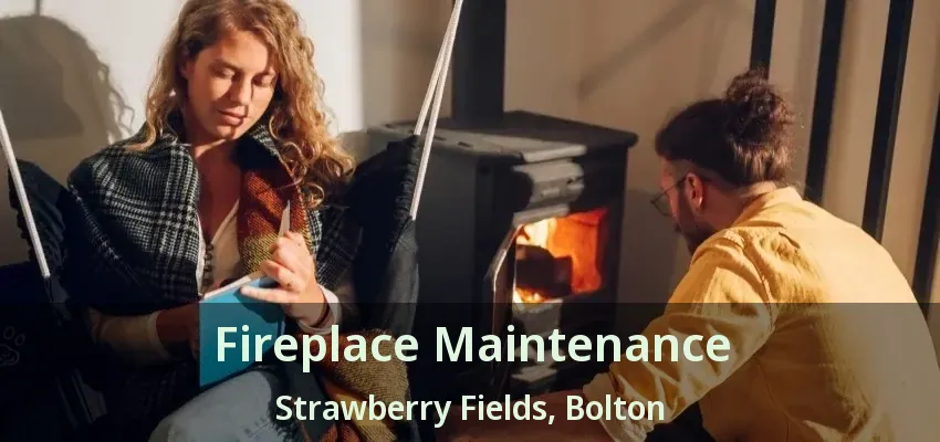 Fireplace Maintenance Strawberry Fields, Bolton - ON