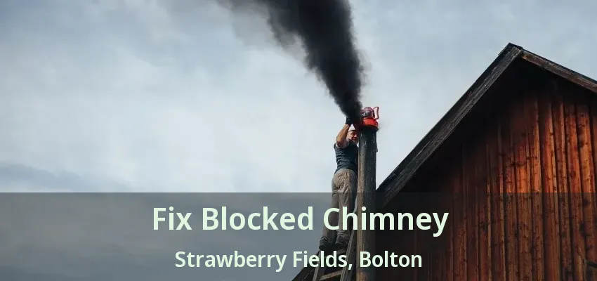 Fix Blocked Chimney Strawberry Fields, Bolton - ON