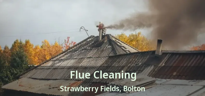 Flue Cleaning Strawberry Fields, Bolton - ON