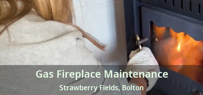 Gas Fireplace Maintenance Strawberry Fields, Bolton - ON