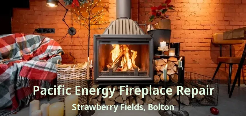 Pacific Energy Fireplace Repair Strawberry Fields, Bolton - ON