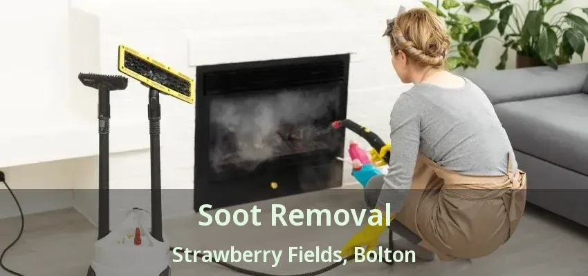 Soot Removal Strawberry Fields, Bolton - ON