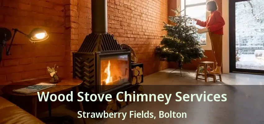 Wood Stove Chimney Services Strawberry Fields, Bolton - ON
