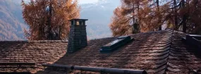 Chimney Animal Removal Bolton